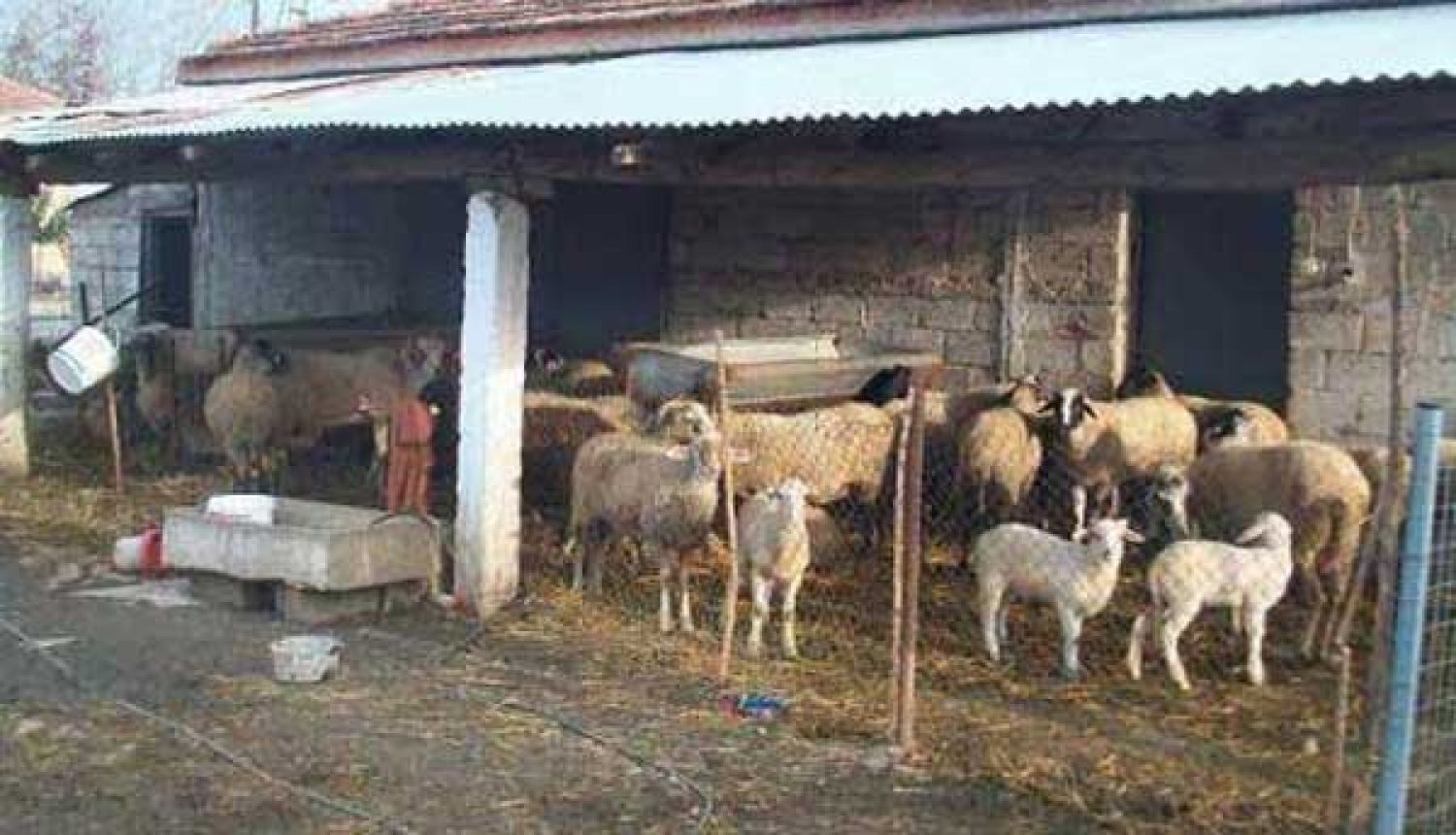 Δεν αντέχουν κι άλλα «χαράτσια» οι Γιαννιώτες
