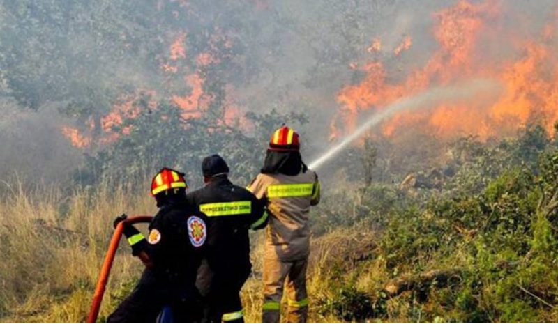 ΦΩΤΙΕΣ ΚΑΙ ΣΤΑ…ΠΑΤΖΑΚΙΑ ΤΟΥ ΤΣΙΠΡΑ!