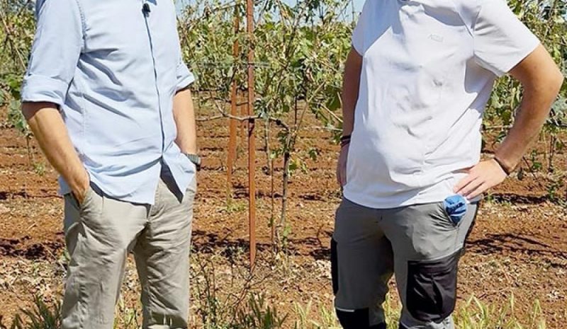 Ζητούνται άμεσα αποζημιώσεις  για τους αμπελουργούς Ζίτσας