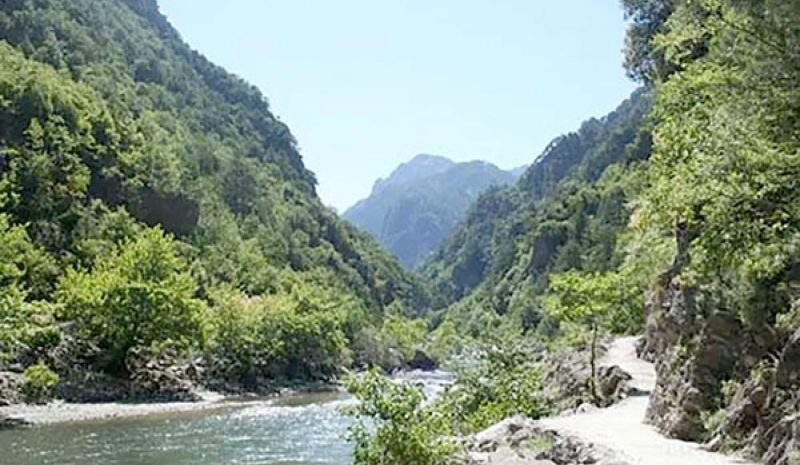 Συναγερμός στην Πυροσβεστική για τρία περιστατικά το Σαββατοκύριακο