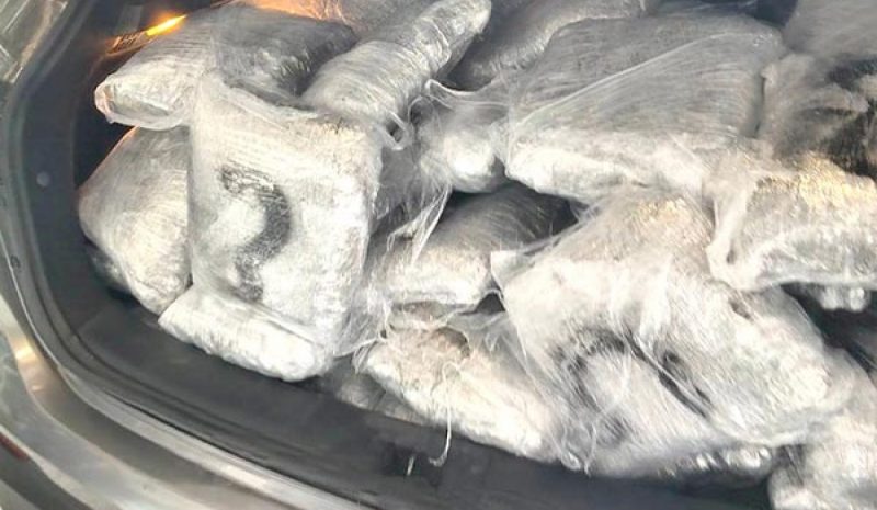 Μετέφερε 96 κιλά κάνναβης με μισθωμένο αυτοκίνητο