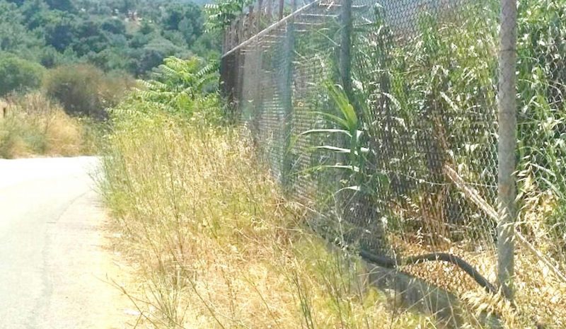 Εκπνέει σήμερα η προθεσμία  για καθαρισμό οικοπέδων